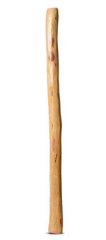 Medium Size Natural Finish Didgeridoo (TW1534)